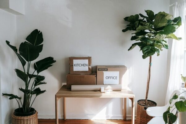Tips for Creating a Sustainable and Organised Home Workspace